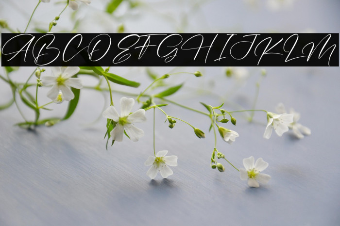 Amatera Hours Example 3