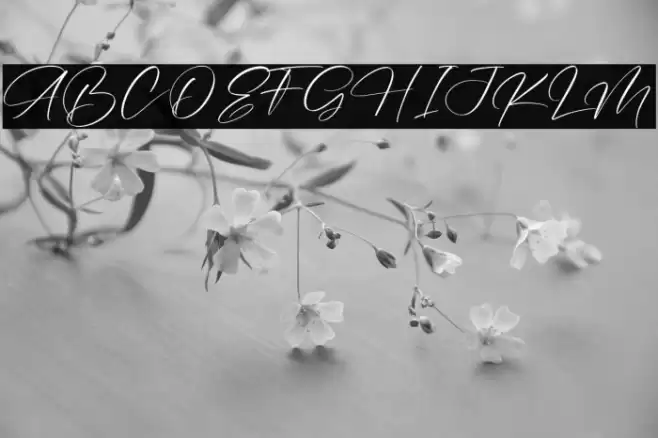 Amatera Hours Fonte examples