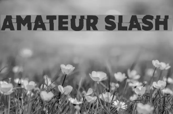 Amateur Slash Font examples