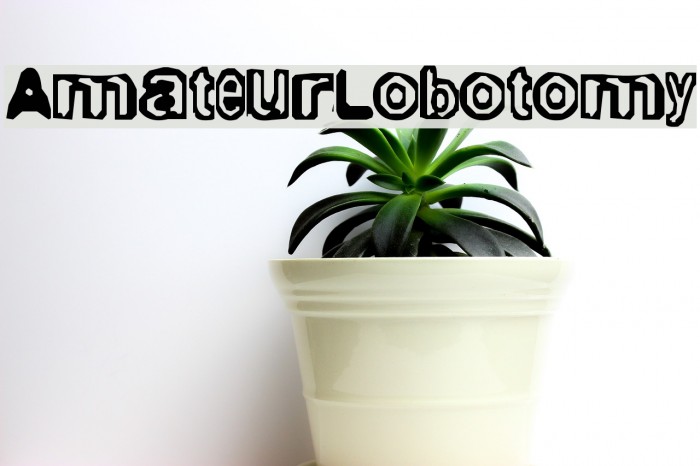 AmateurLobotomy Font examples