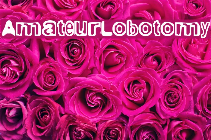 AmateurLobotomy Font examples