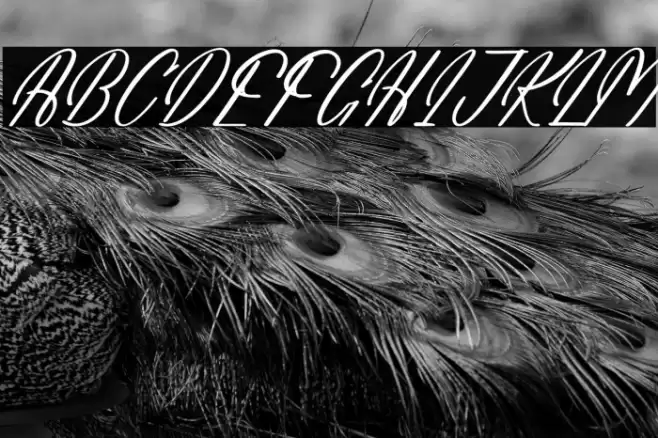 Amathery Bieckmon DEMO VERSION Italic फ़ॉन्ट examples