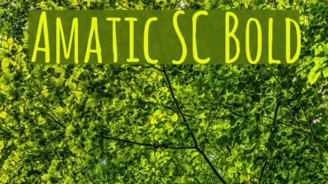 Amatic SC Bold Example 2