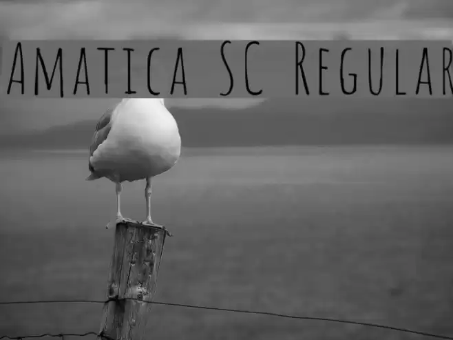 Amatica SC Regular Font examples