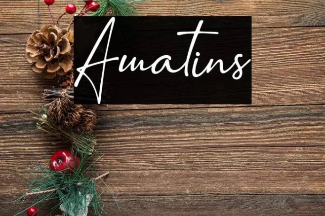 Amatins Example 2