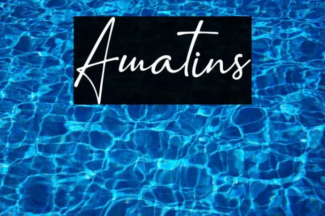 Amatins Example 3