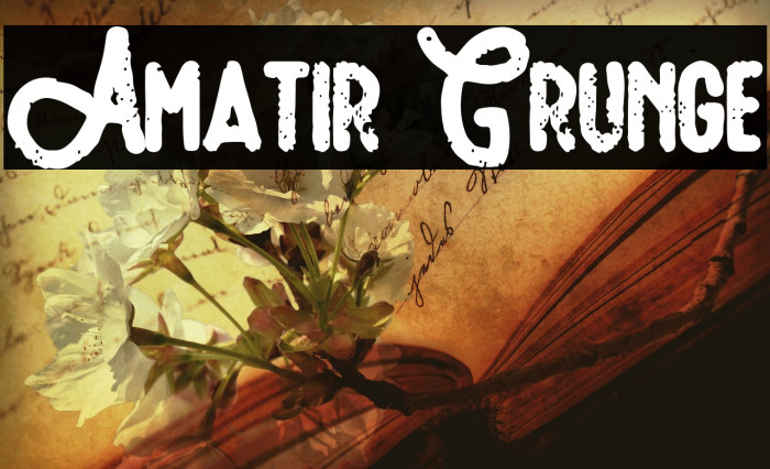 Amatir Grunge 字体 examples
