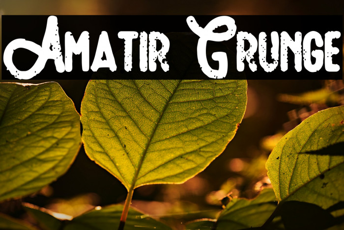 Amatir Grunge 字体 examples