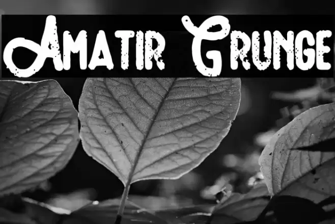 Amatir Grunge Schriftart examples