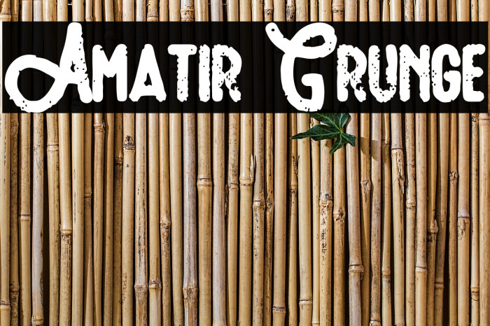 Amatir Grunge 字体 examples