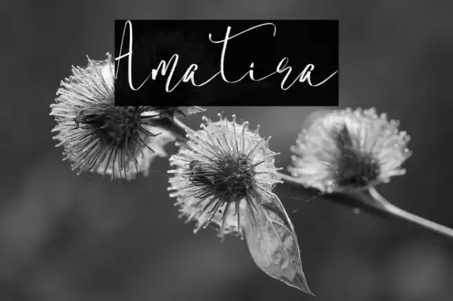 Amatira Font examples