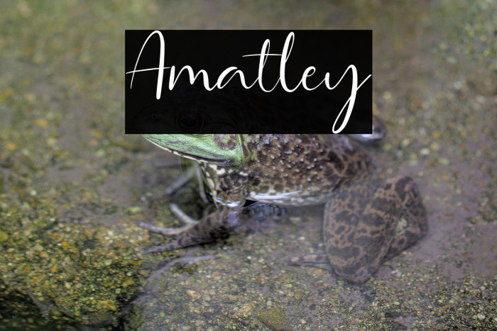 Amatley Example 2