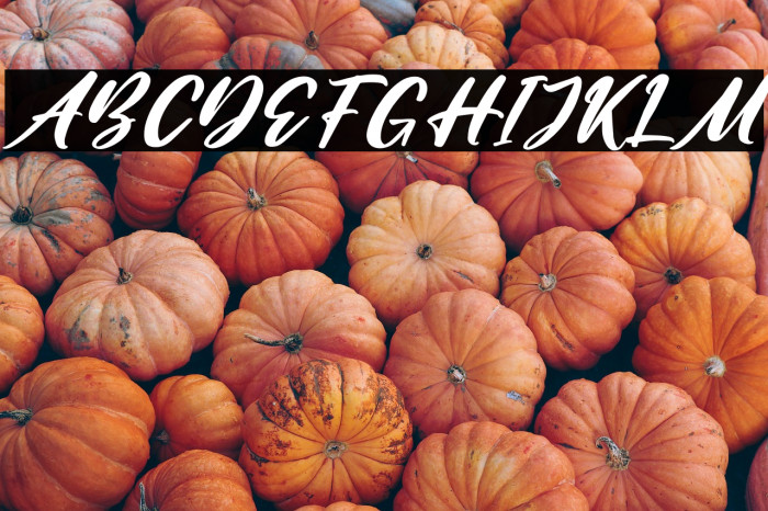 Amattera Million Italic Example 2