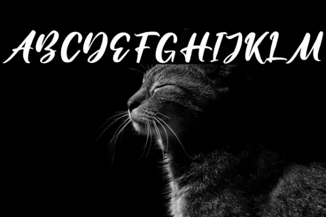 Amattera Million Font examples