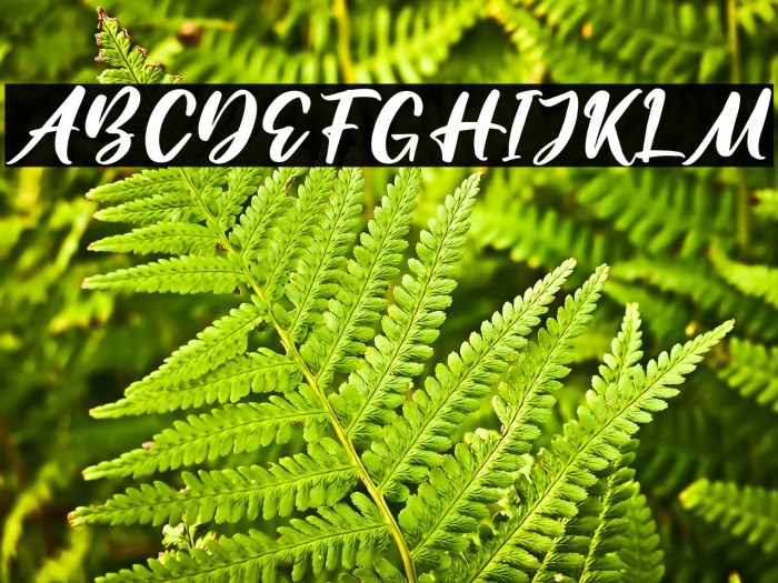 Amattera Million Example 2