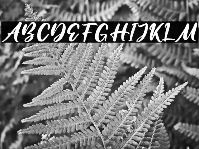 Amattera Million Font examples