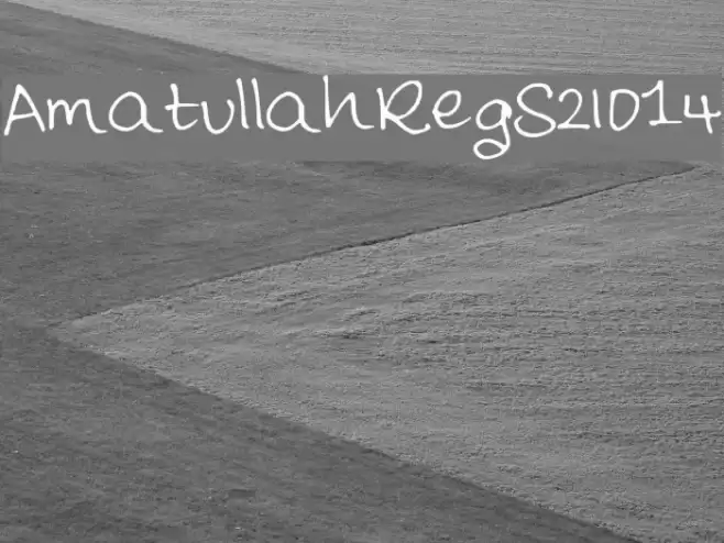 AmatullahReg_S2014 Polices examples