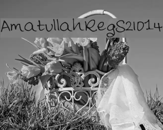 AmatullahReg_S2014 Polices examples