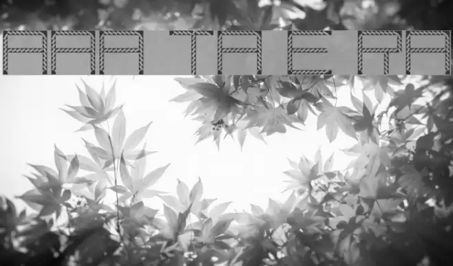 Amaya Technical Etching Regular Font examples