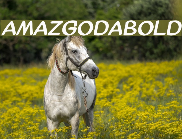 AmazGoDaBold Font examples