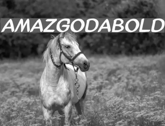 AmazGoDaBold Polices examples