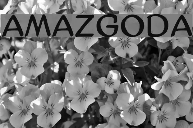 AmazGoDa Font examples