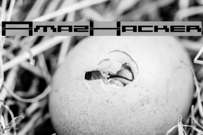 AmazHacker Font examples