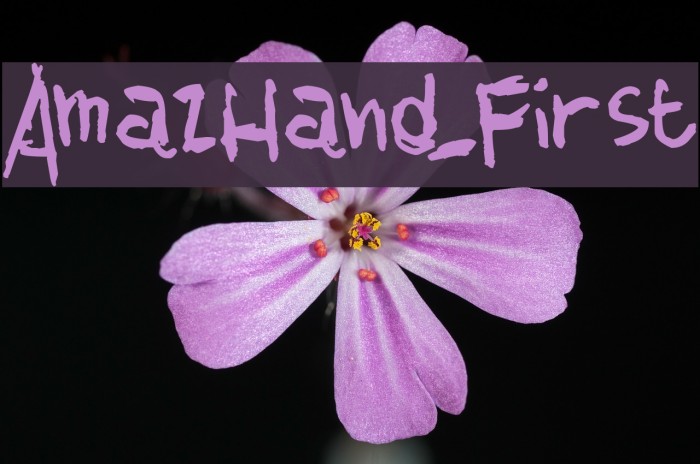 AmazHand_First Font examples