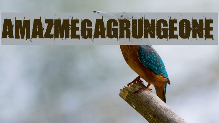 AmazMegaGrungeOne Font examples
