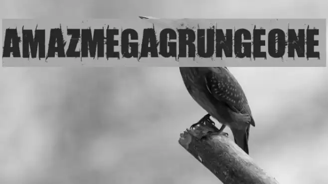 AmazMegaGrungeOne خط examples