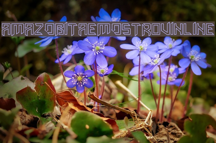 AmazObitaemOstrovInline Font examples