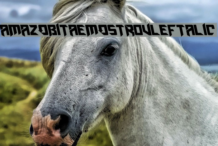 AmazObitaemOstrovLeftalic Font examples