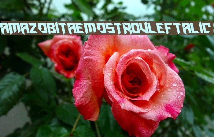 AmazObitaemOstrovLeftalic Font examples
