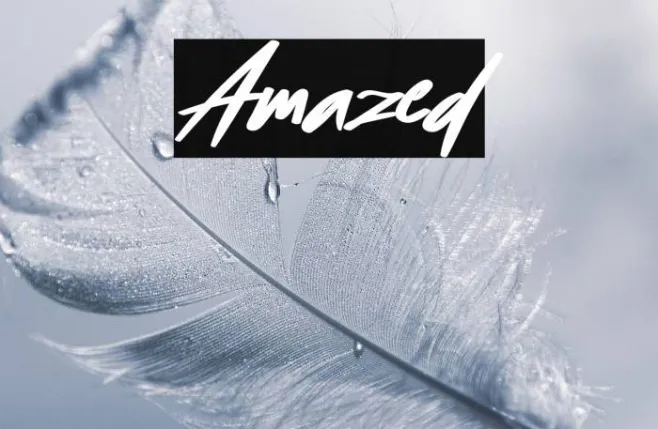 Amazed Example 1