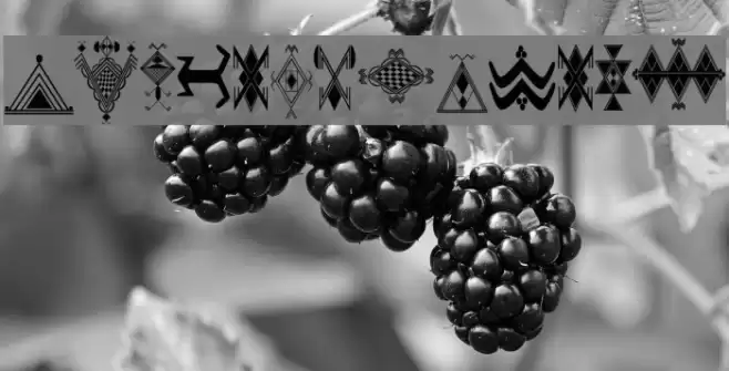 Amazigh Motifs Font examples