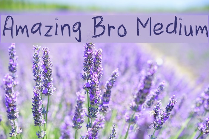 Amazing Bro Medium Font examples
