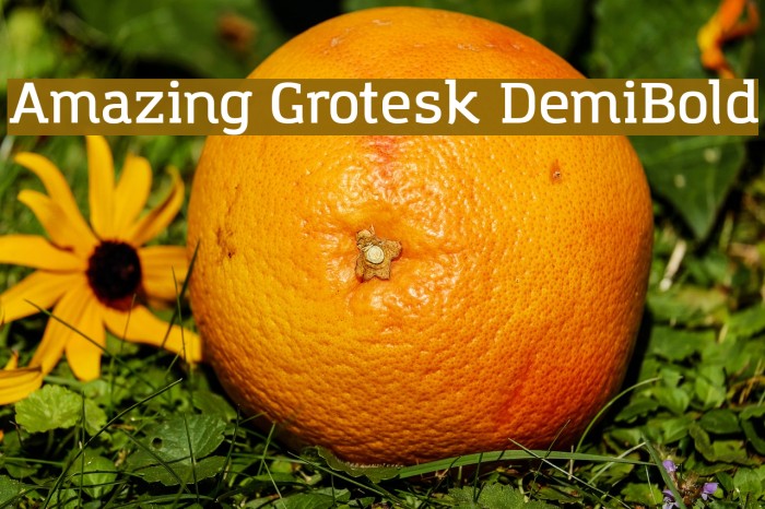 Amazing Grotesk DemiBold Font examples