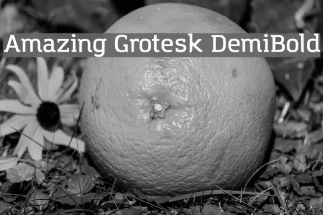Amazing Grotesk DemiBold Font examples