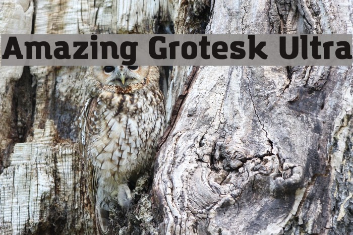 Amazing Grotesk Ultra Font examples