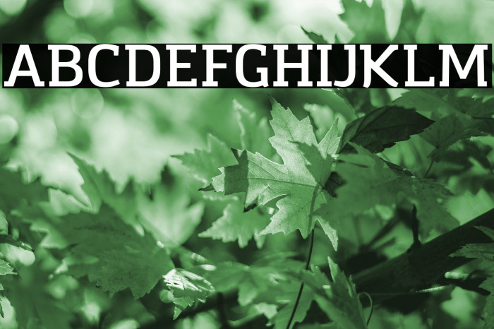Amazing Infographic@ Font examples