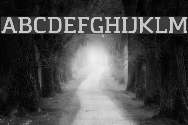 Amazing Infographic@ Font examples