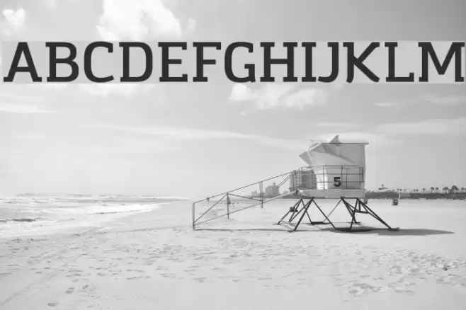 Amazing Infographic@ Font examples