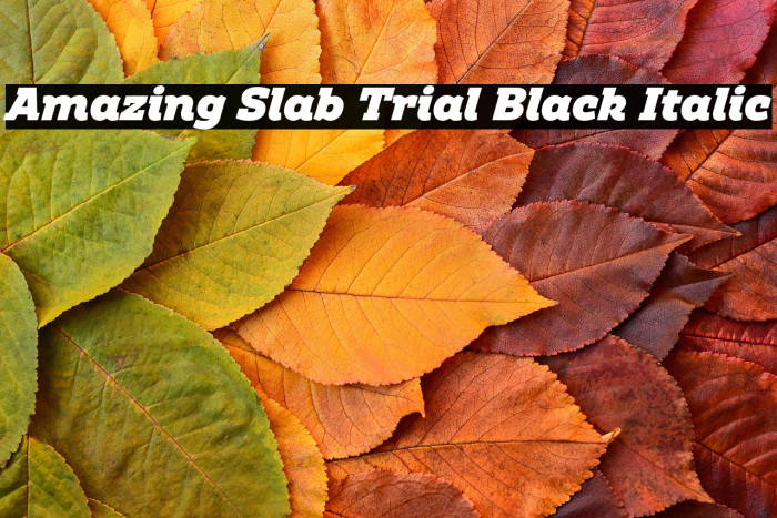 Amazing Slab Trial Black Italic Example 3