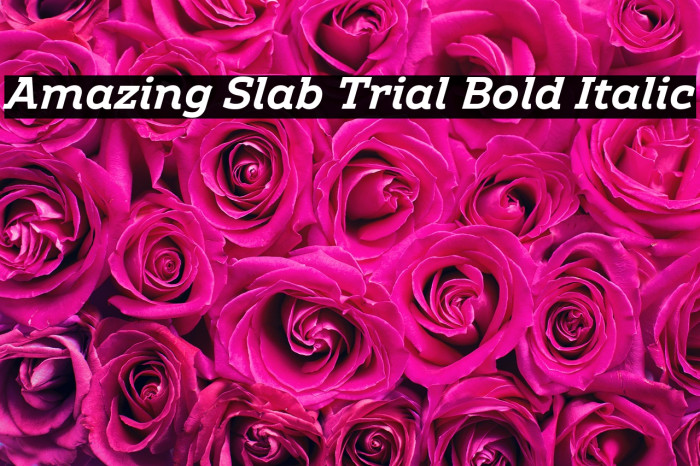 Amazing Slab Trial Bold Italic Example 3
