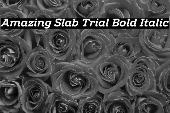 Amazing Slab Trial Bold Italic Font examples