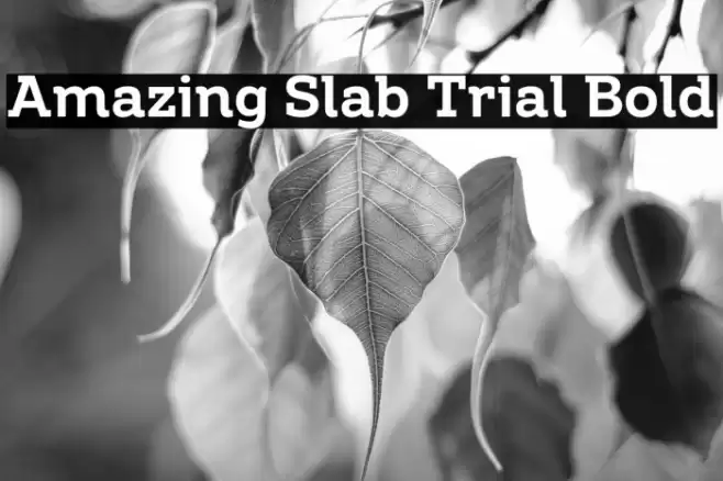 Amazing Slab Trial Bold Font examples