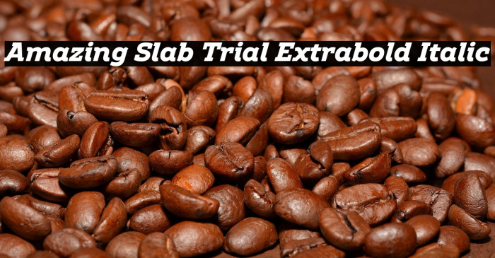 Amazing Slab Trial Extrabold Italic Example 1