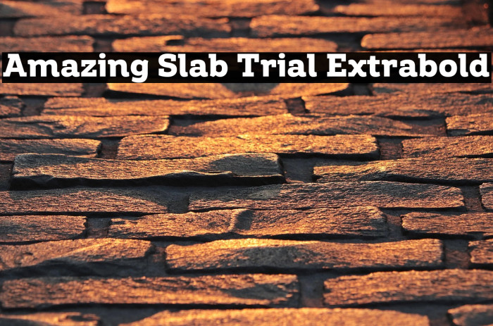 Amazing Slab Trial Extrabold Example 1