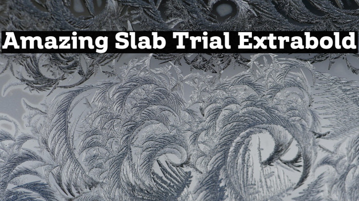 Amazing Slab Trial Extrabold Example 3