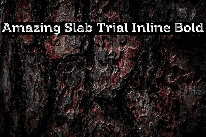 Amazing Slab Trial Inline Bold Example 3